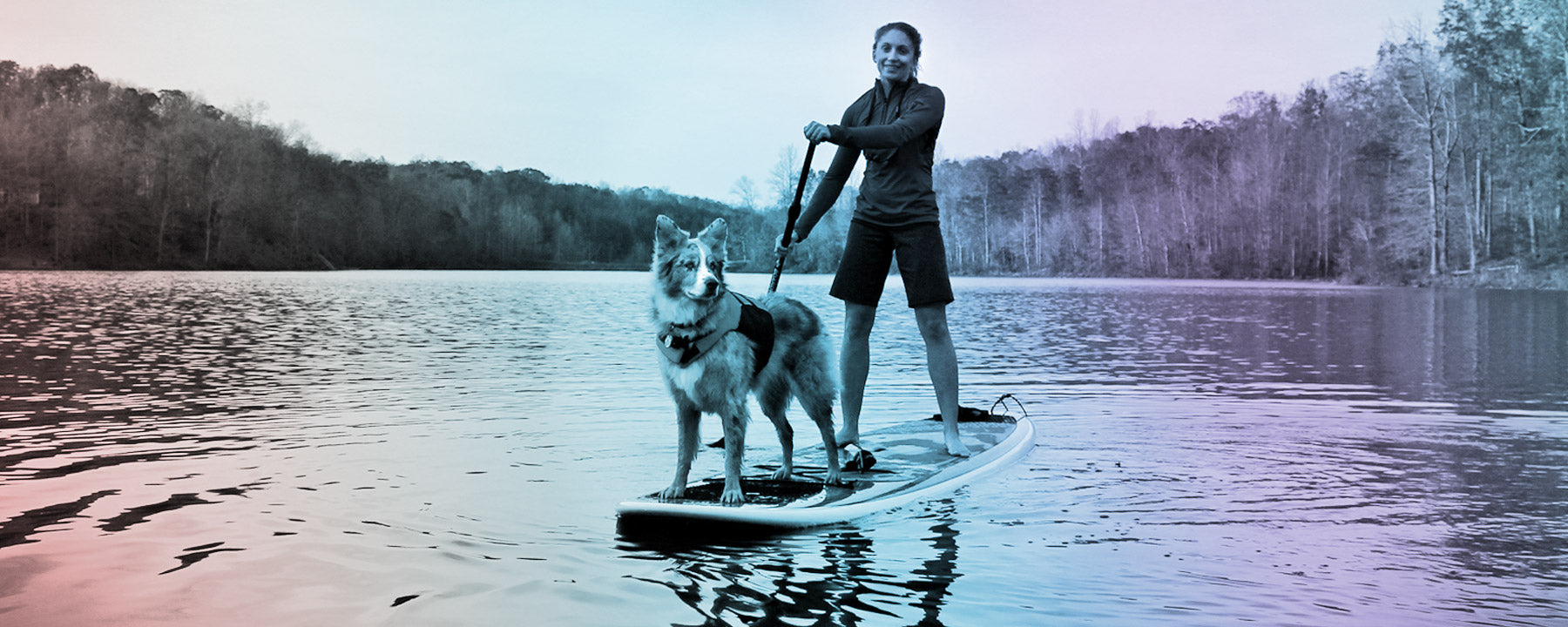Doggy Paddling - Stand Up Paddleboarding with Your Dog - Turn The Tide, a blog by HeySurf